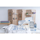 Machine à coudre et à broder Designer Epic 3 Édition Nordic Frost